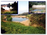  Il laghetto del Masaccio. Altri bacini artificiali sono il Laghetto alle Case Nuove del 1953 ( a sx) e il Laghetto della Macchia (a dx)
