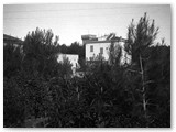 1935 circa - Dal giardino di Villa Lina vista Torre