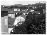 Panorama di Castiglioncello dal Museo. Villa Lina a sx verso il Poggio Pelato