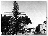 Natale 1954 (foto Chellini)