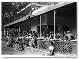 1959 - Spettatori al tennis