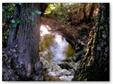Il botro dell'Acquabona