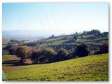 La Valle del Botro Rapaiolo, con le geometrie idraulico-agrarie del podere S. Antonio