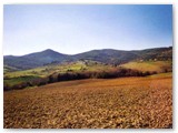 'Poggio Motorno', 'Monte Carvoli' e 'Monte Pelato'