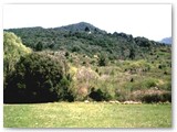 Diversi tipi vegetazione nella media valle del Chioma
