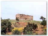 Ruderi del 'Casa Carcivisoli 1 ' sul lato sx (sud) del torrente fra il botro del Ringuillaio ed il botro del Livello.