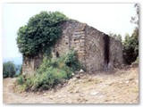 Ruderi del 'Casa Carcivisoli 2' sul lato sx (sud) del torrente fra il botro del Ringuillaio ed il botro del Livello.