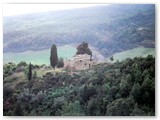 Ruderi del 'Poderino' sul lato sx (sud) del torrente fra il botro di Canibotri ed il botro di Pietra Lupaia