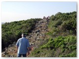 Monte Carvoli: i resti della prima cinta muraria a mezza costa della collina
