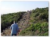 Monte Carvoli: i resti della prima cinta muraria a mezza costa della collina.