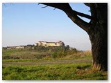 Parco dei Poggetti. Il castello si stacca sulla foschia.

