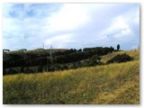 Parco dei Poggetti. Vista d'insieme.