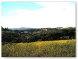 Parco dei Poggetti. Vista sul Vignone e l'ingresso al parco.