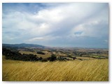 Parco dei Poggetti. Verso Gabbro a nord.