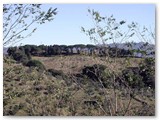 Vista del Parco dei Poggetti dal castello. Parte del percorso fra i pini.