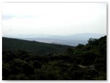  Dai 300 m. del belvedere verso sud. Al centro, 150m pi� in basso, Rosignano Marittimo 