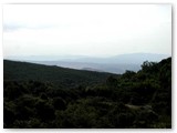 Dai 300 m. del belvedere verso sud con Rosignano Solvay. Al di l delle ultime colline livornesi parte la piana costiera