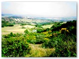  Vista della Valle Crocetta