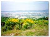 Castellina M.ma in lontananza sulla destra