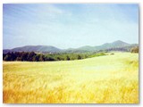Panorama da Case le Spianate