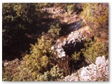 Ignote strutture in pietra seminascoste dalla vegetazione 