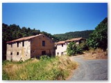 Lungo la Fortulla vecchi fabbricati rurali, fra i quali il mulino della Fattoria di Campolecciano