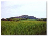 Da Pian dei Lupi vista del Monte Pelato e del Poggio Il Tedesco