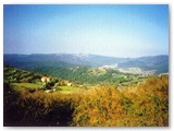 Il Santuario di Montenero in lontananza
