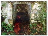 La fonte dell'acqua ferrata, scavata nella roccia (Fig.4) alle sorgenti del Botro dell'Arancio