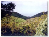 stupendo panorama verso mare dall''acqua ferrata'