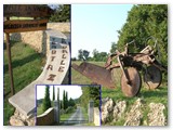 Tenuta 'La Valle' di Vada. Viale di ingresso. A destra vecchio aratro in mostra
