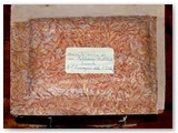 Il sopra della teca ricoperta di carta rossa e beige che contiene la camicia.