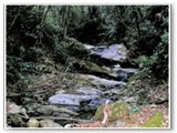 Giochi d'acqua nel Botro dell'Arancio