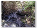 Botro dell'Arancio