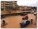 10 ottobre 1993 - Stesse cause e stessi effetti del 1935 anche se meno distruttivi sempre sul Botro Cotone.