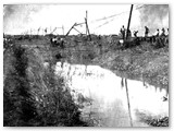 1 ottobre 1949 - Esondazione in sponda destra del fiume Fine. Effetti sulla ferrovia a sud di Rosignano S. (Foto P.Squarci).