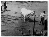 1950