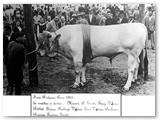 1953