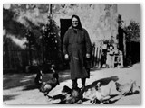 1941