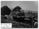 1950