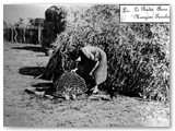 1950