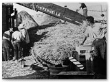 1953