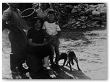 1961
