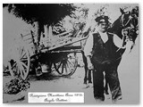 1915