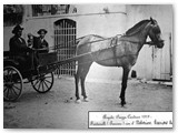1919