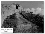 1944