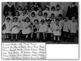 1951