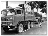 Immagine1 - 1980