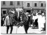 La corona ai Caduti in piazza Carducci a Rosignano M.mo