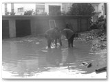 GROSSETO alluvione del 4 nov. 1966
